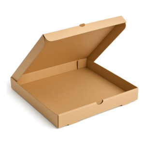 CAJA P/PIZZA GRIS X 100u