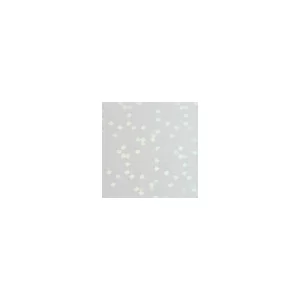 FILM FOTO ADHESIVO HOLO A4 20hjs TRANSP. BURBUJAS SKU: 615620
